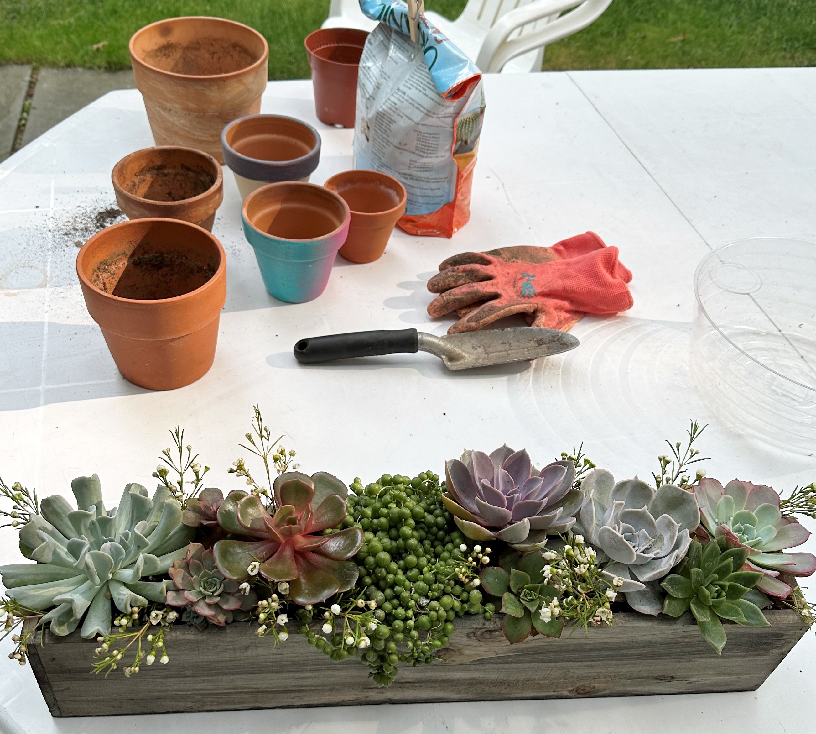 a boxed arrangement of various echeveria succulents and one hanging string-of-pearls succulent, sitting on a picnic table. Nearby are 7 empty plant pots, a bag of soil, and a trowel.