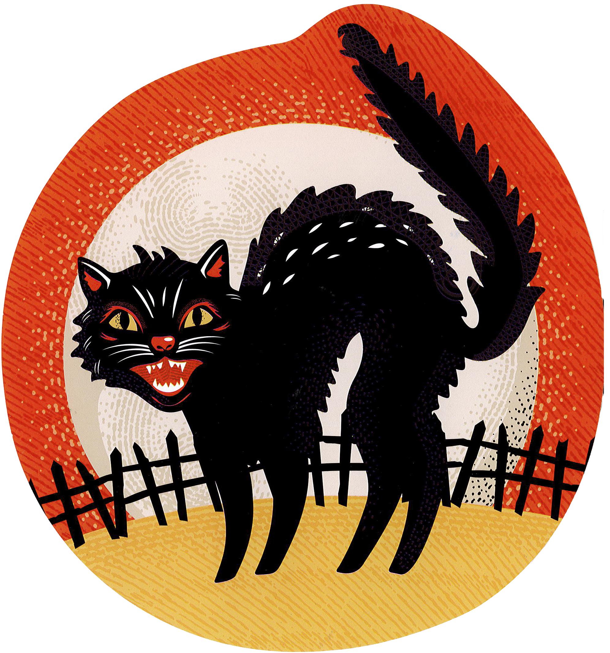 a black cat arching its back and hissing in front of an orange background